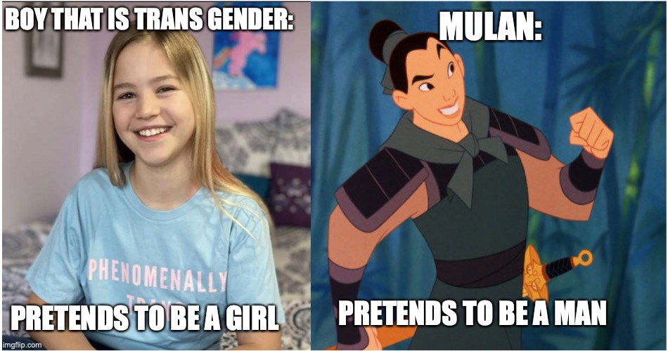 honestly Mulan why not just send mushoo into battle | MULAN:; BOY THAT IS TRANS GENDER:; PRETENDS TO BE A MAN; PRETENDS TO BE A GIRL | image tagged in mulan | made w/ Imgflip meme maker