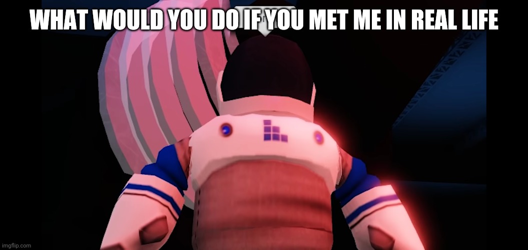 I concur | WHAT WOULD YOU DO IF YOU MET ME IN REAL LIFE | image tagged in i concur | made w/ Imgflip meme maker