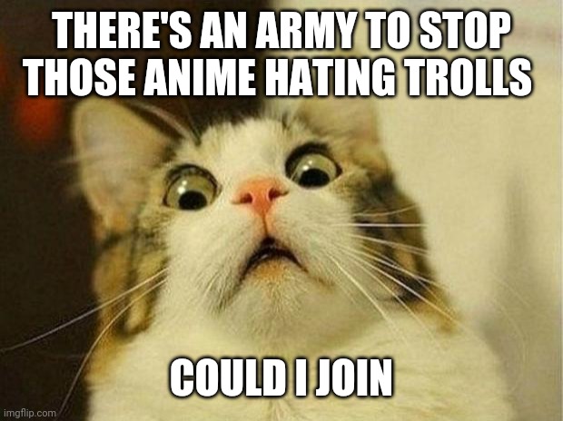 I can finally do something about those trolls | THERE'S AN ARMY TO STOP THOSE ANIME HATING TROLLS; COULD I JOIN | image tagged in memes,scared cat | made w/ Imgflip meme maker