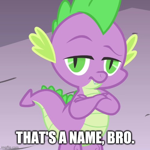 Disappointed Spike (MLP) | THAT'S A NAME, BRO. | image tagged in disappointed spike mlp | made w/ Imgflip meme maker