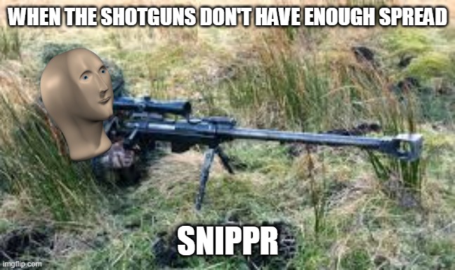 snipr | WHEN THE SHOTGUNS DON'T HAVE ENOUGH SPREAD; SNIPPR | image tagged in gaming,sniper,meme man | made w/ Imgflip meme maker