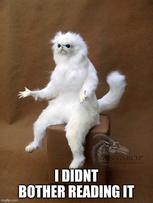 Persian Cat Room Guardian Single Meme | I DIDNT BOTHER READING IT | image tagged in memes,persian cat room guardian single | made w/ Imgflip meme maker