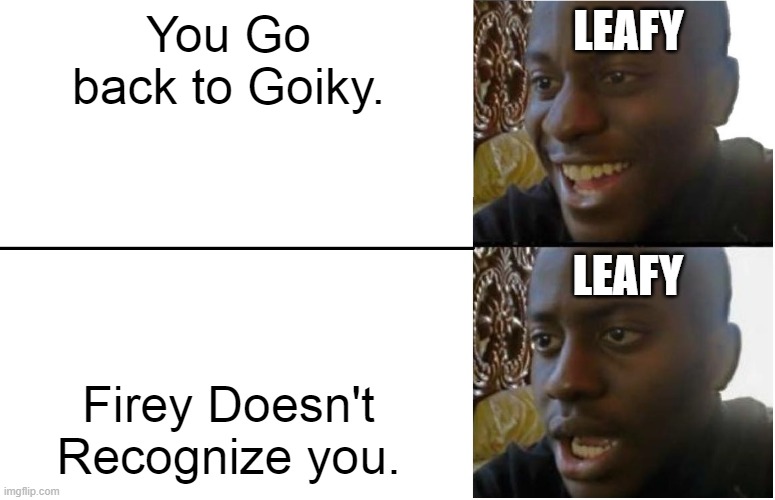 Disappointed Black Guy | LEAFY; You Go back to Goiky. LEAFY; Firey Doesn't Recognize you. | image tagged in disappointed black guy | made w/ Imgflip meme maker