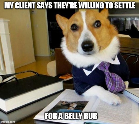 Self Representation |  MY CLIENT SAYS THEY'RE WILLING TO SETTLE; FOR A BELLY RUB | image tagged in lawyer corgi dog,dog,lol,lawyer dog,good boy,so cute | made w/ Imgflip meme maker