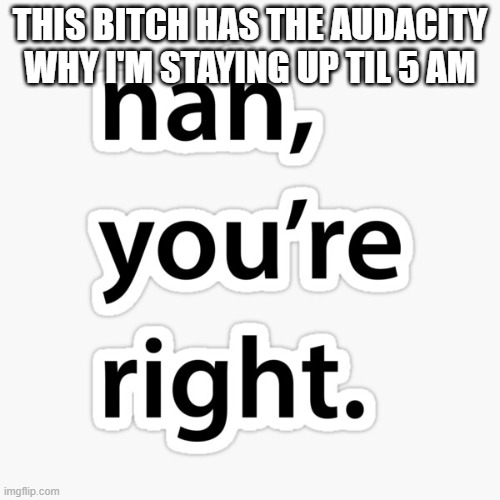 Nah you're right | THIS BITCH HAS THE AUDACITY WHY I'M STAYING UP TIL 5 AM | image tagged in nah you're right | made w/ Imgflip meme maker