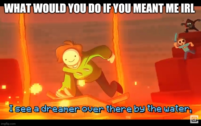 I see a dreamer | WHAT WOULD YOU DO IF YOU MEANT ME IRL | image tagged in i see a dreamer | made w/ Imgflip meme maker