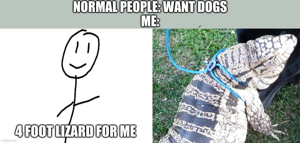 its a tegu btw and I do not have one yet | NORMAL PEOPLE: WANT DOGS
ME:; 4 FOOT LIZARD FOR ME | image tagged in blank white template | made w/ Imgflip meme maker