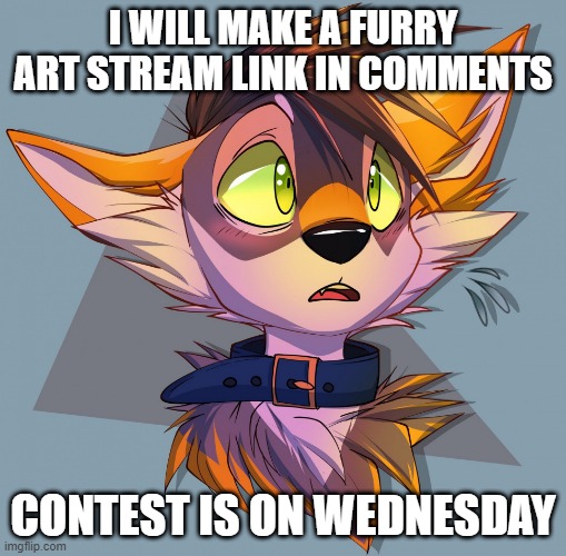 Furry art! | I WILL MAKE A FURRY ART STREAM LINK IN COMMENTS; CONTEST IS ON WEDNESDAY | image tagged in furry art | made w/ Imgflip meme maker