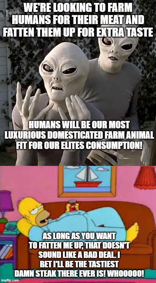 Aliens confront Homer Simpson | WE'RE LOOKING TO FARM HUMANS FOR THEIR MEAT AND FATTEN THEM UP FOR EXTRA TASTE; HUMANS WILL BE OUR MOST LUXURIOUS DOMESTICATED FARM ANIMAL FIT FOR OUR ELITES CONSUMPTION! AS LONG AS YOU WANT TO FATTEN ME UP, THAT DOESN'T SOUND LIKE A BAD DEAL. I BET I'LL BE THE TASTIEST DAMN STEAK THERE EVER IS! WHOOOOO! | image tagged in aliens,homer simpson,comics/cartoons,food,invasion,humor | made w/ Imgflip meme maker