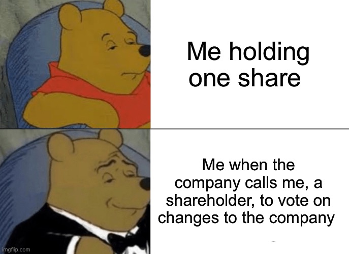 Winnie stock trader | Me holding one share; Me when the company calls me, a shareholder, to vote on changes to the company | image tagged in memes,tuxedo winnie the pooh,stock market,stonks | made w/ Imgflip meme maker