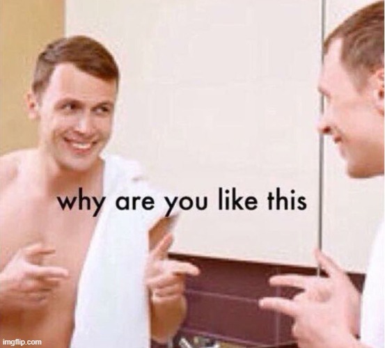 made w/ Imgflip meme maker