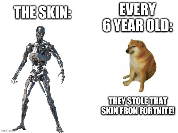 every 6 year old (no cap) | THE SKIN:; EVERY 6 YEAR OLD:; THEY STOLE THAT SKIN FRON FORTNITE! | image tagged in blank white template | made w/ Imgflip meme maker