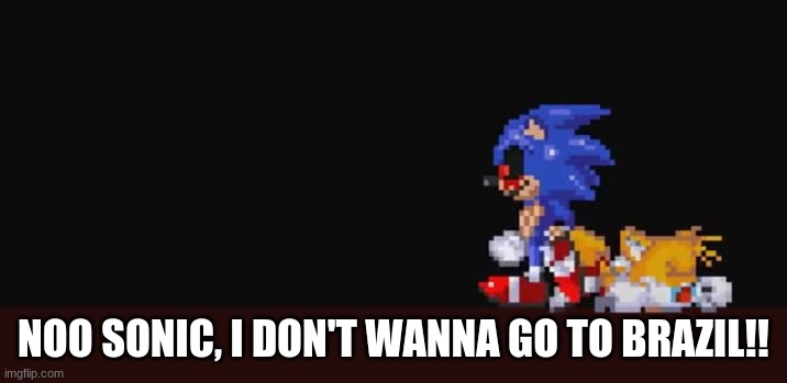 plz don't get mad | NOO SONIC, I DON'T WANNA GO TO BRAZIL!! | image tagged in memes,funny | made w/ Imgflip meme maker