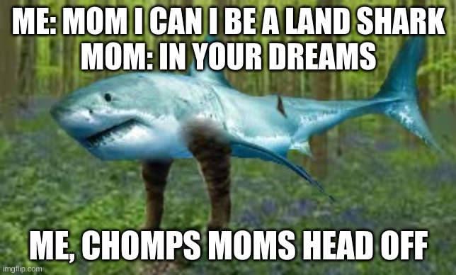 cat/shark | ME: MOM I CAN I BE A LAND SHARK
MOM: IN YOUR DREAMS; ME, CHOMPS MOMS HEAD OFF | image tagged in fish | made w/ Imgflip meme maker