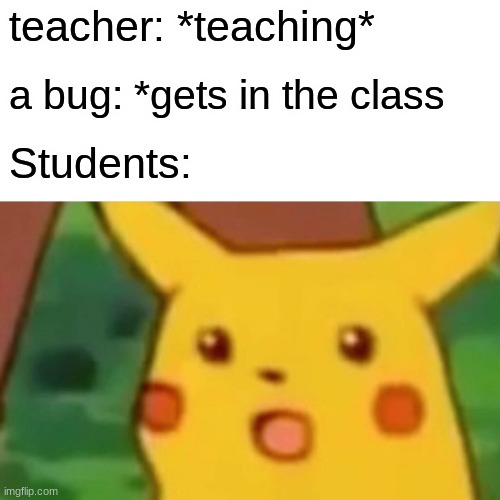 that how my class be like | teacher: *teaching*; a bug: *gets in the class; Students: | image tagged in memes,surprised pikachu | made w/ Imgflip meme maker