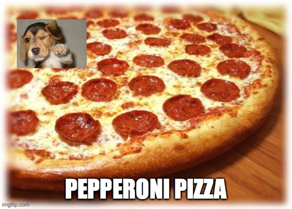 PEPPERONI PIZZA | image tagged in coming out pizza | made w/ Imgflip meme maker