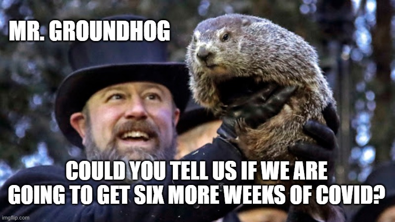 Covid Groundhog | MR. GROUNDHOG; COULD YOU TELL US IF WE ARE GOING TO GET SIX MORE WEEKS OF COVID? | image tagged in groundhog day,covid | made w/ Imgflip meme maker