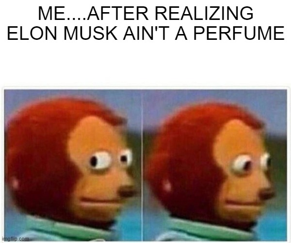 Monkey Puppet | ME....AFTER REALIZING ELON MUSK AIN'T A PERFUME | image tagged in memes,monkey puppet | made w/ Imgflip meme maker