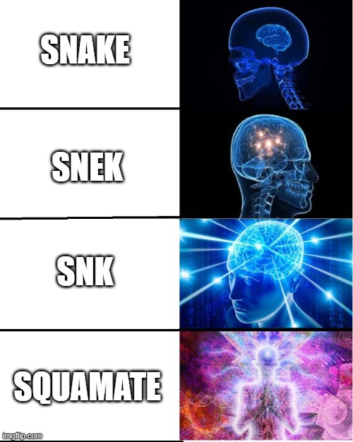 GALAXY BRAIN | SNAKE SNEK SNK SQUAMATE | image tagged in galaxy brain | made w/ Imgflip meme maker