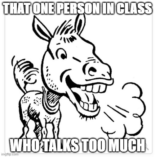 Talking Donkey | THAT ONE PERSON IN CLASS; WHO TALKS TOO MUCH | image tagged in annoying,donkey | made w/ Imgflip meme maker