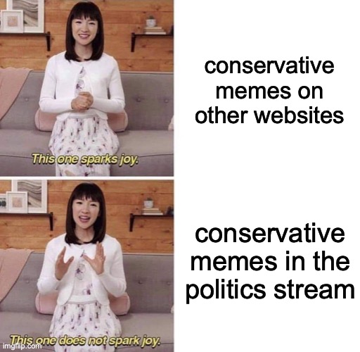 This one sparks joy | conservative memes on other websites; conservative memes in the politics stream | image tagged in this one sparks joy,politics | made w/ Imgflip meme maker