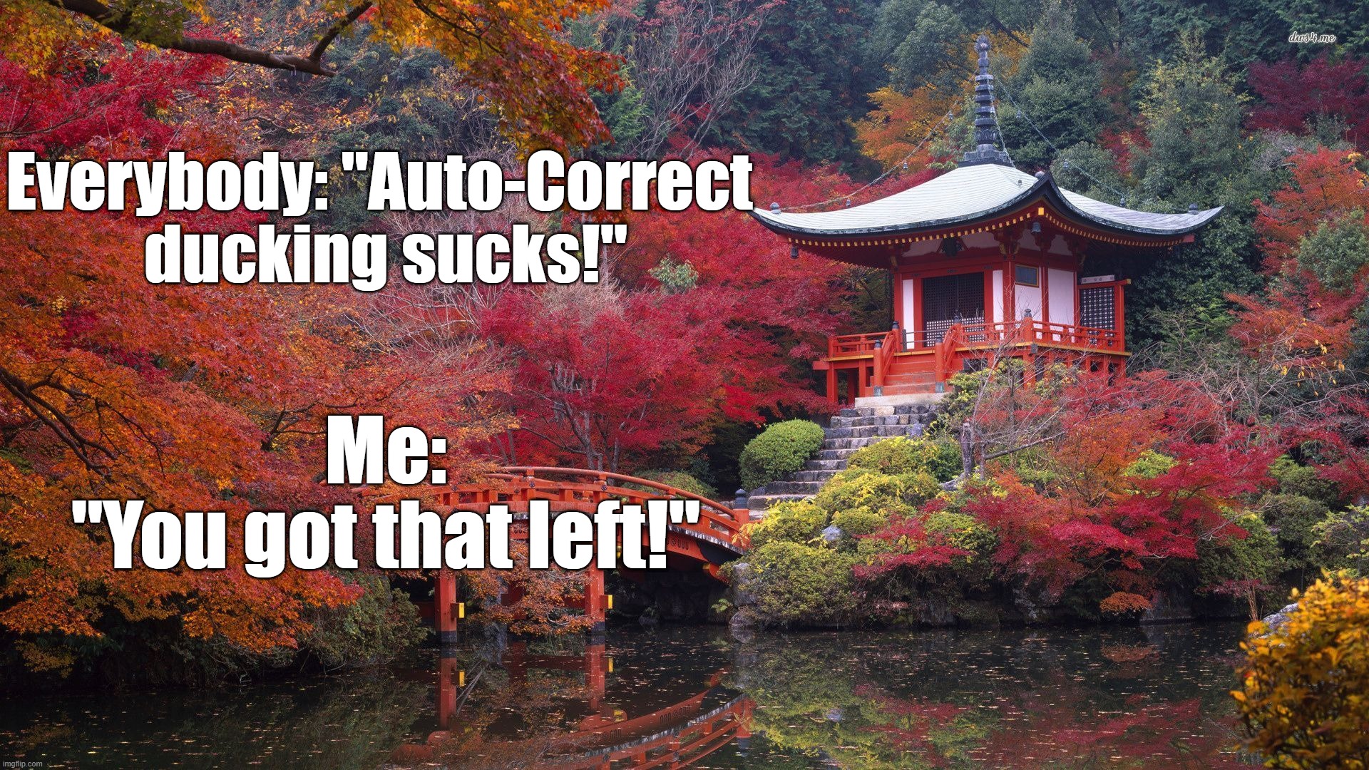 Autocorrect sucks! | Everybody: "Auto-Correct 
ducking sucks!"; Me:
"You got that left!" | image tagged in autocorrect,computers,pc,internet,typing | made w/ Imgflip meme maker