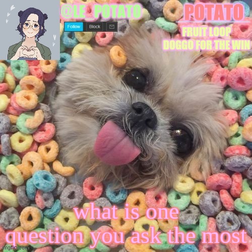 what is one question you ask the most | made w/ Imgflip meme maker