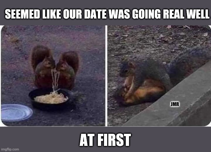 Oh boy! | SEEMED LIKE OUR DATE WAS GOING REAL WELL; JMR; AT FIRST | image tagged in squirrel fight,dating,date night | made w/ Imgflip meme maker