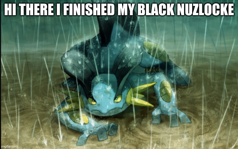 I have finished my pokemon black nuzlocke | HI THERE I FINISHED MY BLACK NUZLOCKE | image tagged in the best swampert 999 | made w/ Imgflip meme maker