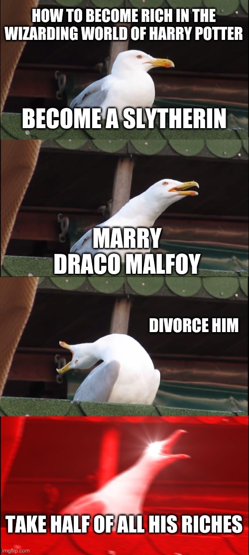 Becoming Rich | HOW TO BECOME RICH IN THE WIZARDING WORLD OF HARRY POTTER; BECOME A SLYTHERIN; MARRY DRACO MALFOY; DIVORCE HIM; TAKE HALF OF ALL HIS RICHES | image tagged in memes,inhaling seagull | made w/ Imgflip meme maker