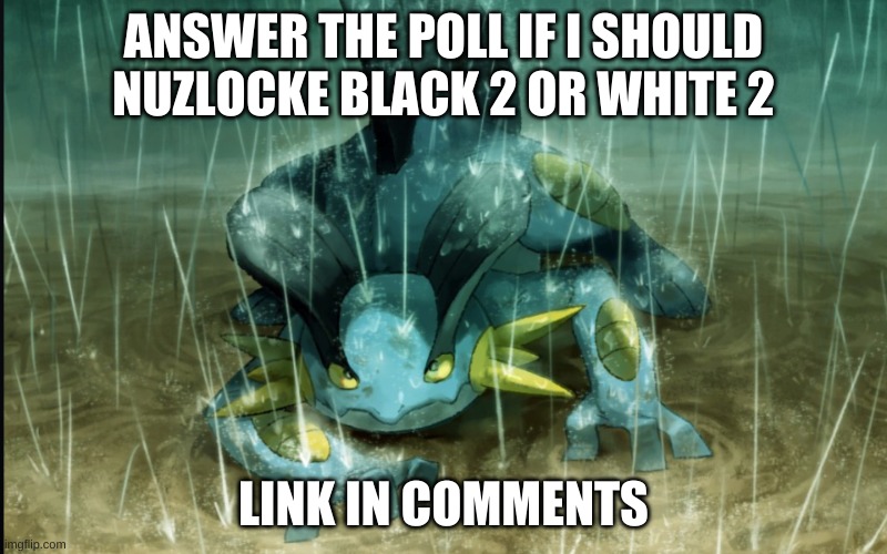 https://strawpoll.com/ahbhrp2g2 | ANSWER THE POLL IF I SHOULD NUZLOCKE BLACK 2 OR WHITE 2; LINK IN COMMENTS | image tagged in the best swampert 999 | made w/ Imgflip meme maker
