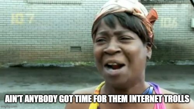 Ain't Nobody Got Time For That Meme | AIN'T ANYBODY GOT TIME FOR THEM INTERNET TROLLS | image tagged in memes,ain't nobody got time for that | made w/ Imgflip meme maker