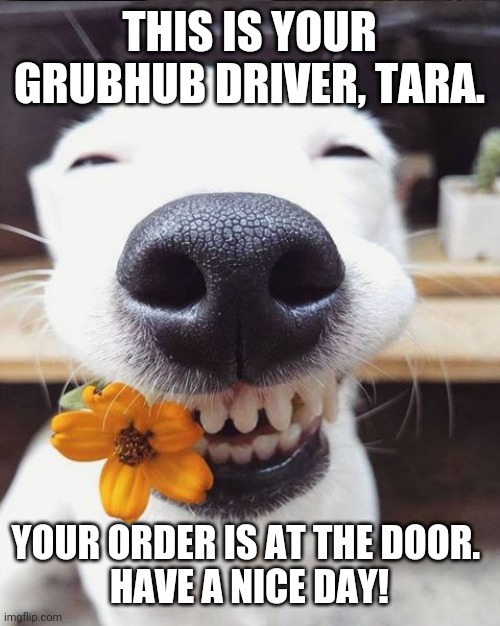 GrubHub delivery | THIS IS YOUR GRUBHUB DRIVER, TARA. YOUR ORDER IS AT THE DOOR. 
HAVE A NICE DAY! | image tagged in smiling dog | made w/ Imgflip meme maker