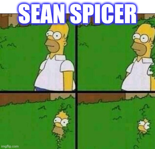 Homer Simpson in Bush - Large | SEAN SPICER | image tagged in homer simpson in bush - large | made w/ Imgflip meme maker