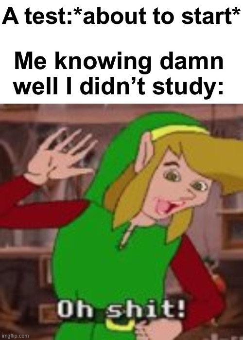 A test:*about to start*; Me knowing damn well I didn’t study: | image tagged in link oh shit | made w/ Imgflip meme maker