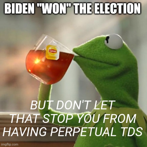 But That's None Of My Business Meme | BIDEN "WON" THE ELECTION BUT DON'T LET THAT STOP YOU FROM HAVING PERPETUAL TDS | image tagged in memes,but that's none of my business,kermit the frog | made w/ Imgflip meme maker