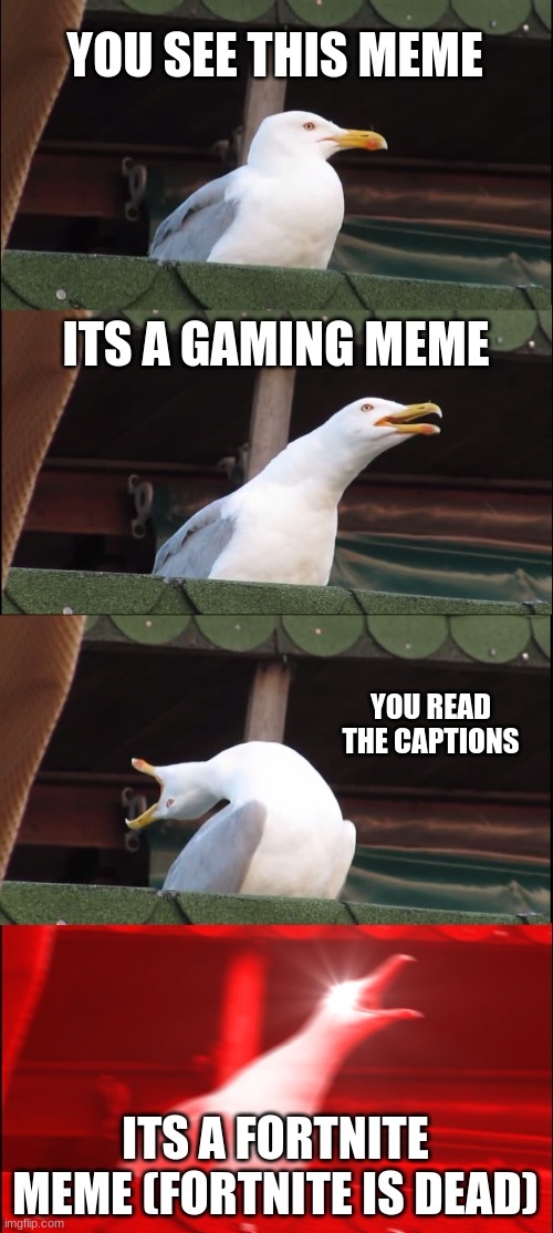 Inhaling Seagull | YOU SEE THIS MEME; ITS A GAMING MEME; YOU READ THE CAPTIONS; ITS A FORTNITE MEME (FORTNITE IS DEAD) | image tagged in memes,inhaling seagull | made w/ Imgflip meme maker