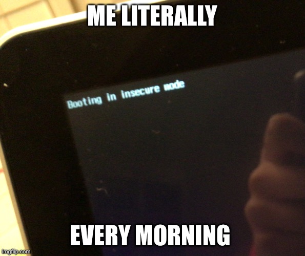 Yep. 1000000% True. | ME LITERALLY; EVERY MORNING | image tagged in booting in insecure mode computer | made w/ Imgflip meme maker