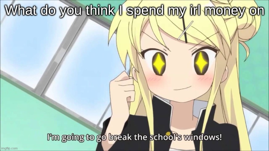 I'm going to go break the schools windows! | What do you think I spend my irl money on | image tagged in i'm going to go break the schools windows | made w/ Imgflip meme maker