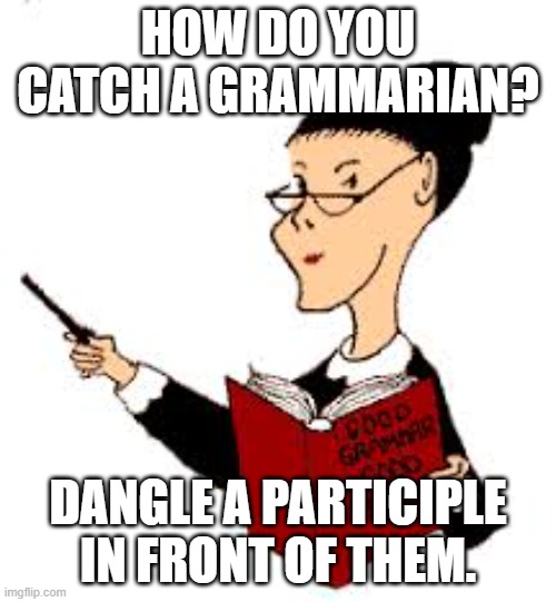 Catching grammarians | HOW DO YOU CATCH A GRAMMARIAN? DANGLE A PARTICIPLE IN FRONT OF THEM. | image tagged in grammar,dangling participles | made w/ Imgflip meme maker