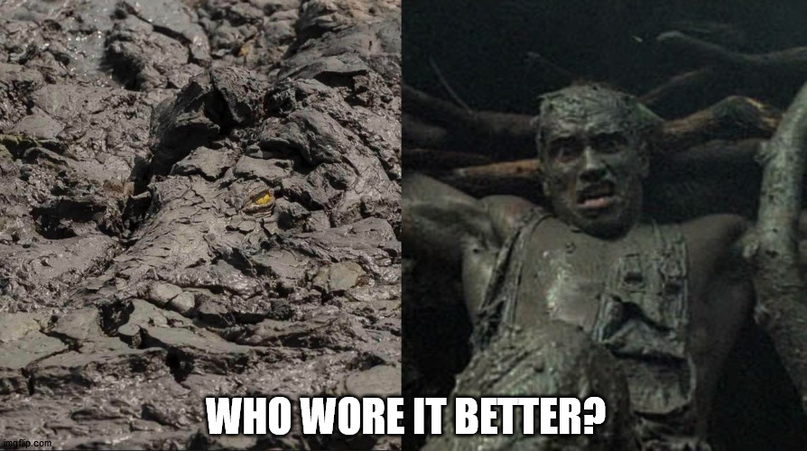 WHO WORE IT BETTER? | image tagged in arnold in the mud | made w/ Imgflip meme maker