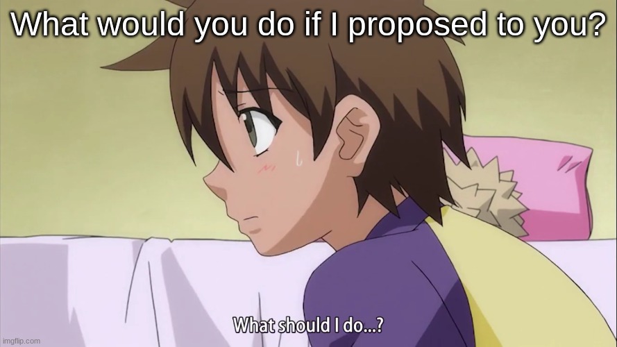 ecksdee | What would you do if I proposed to you? | image tagged in what should i do | made w/ Imgflip meme maker