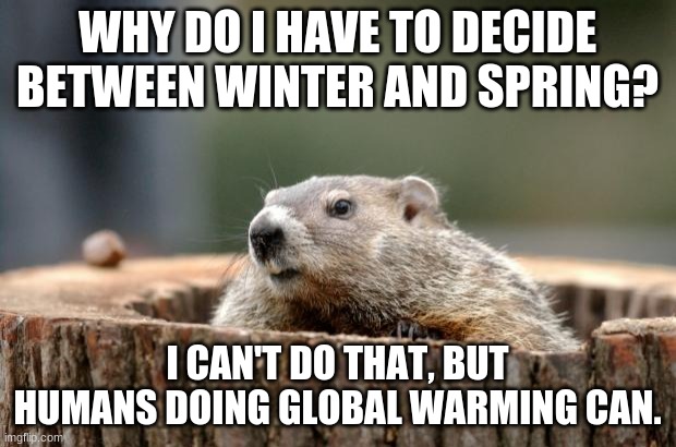 Groundhog talking | WHY DO I HAVE TO DECIDE BETWEEN WINTER AND SPRING? I CAN'T DO THAT, BUT HUMANS DOING GLOBAL WARMING CAN. | image tagged in groundhog | made w/ Imgflip meme maker
