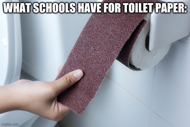 it burns. | WHAT SCHOOLS HAVE FOR TOILET PAPER: | image tagged in memes,funny,toilet paper,schools,bruh,ouch | made w/ Imgflip meme maker