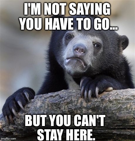 Confession Bear Meme | I'M NOT SAYING YOU HAVE TO GO... BUT YOU CAN'T STAY HERE. | image tagged in memes,confession bear | made w/ Imgflip meme maker