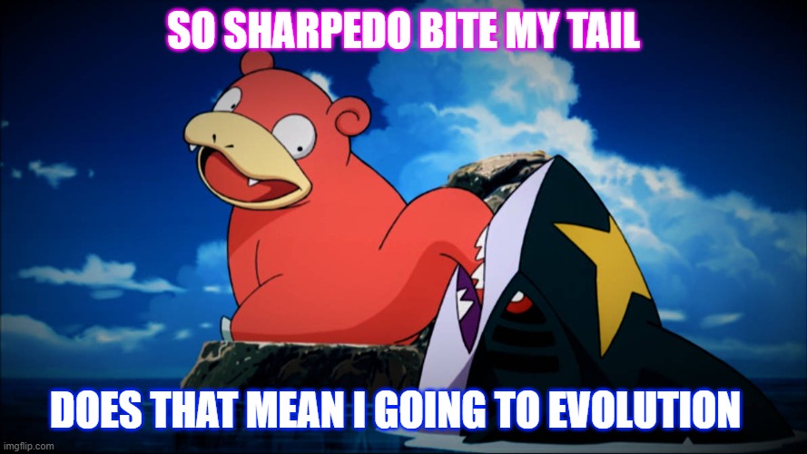 SO SHARPEDO BITE MY TAIL; DOES THAT MEAN I GOING TO EVOLUTION | image tagged in slowpoke,pokemon | made w/ Imgflip meme maker