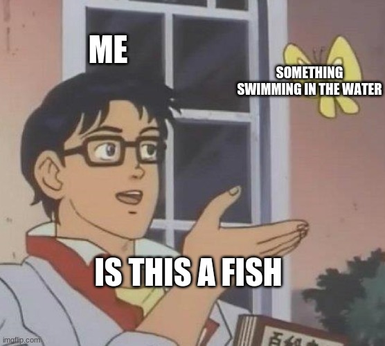 Feesh? | ME; SOMETHING SWIMMING IN THE WATER; IS THIS A FISH | image tagged in memes,is this a pigeon | made w/ Imgflip meme maker