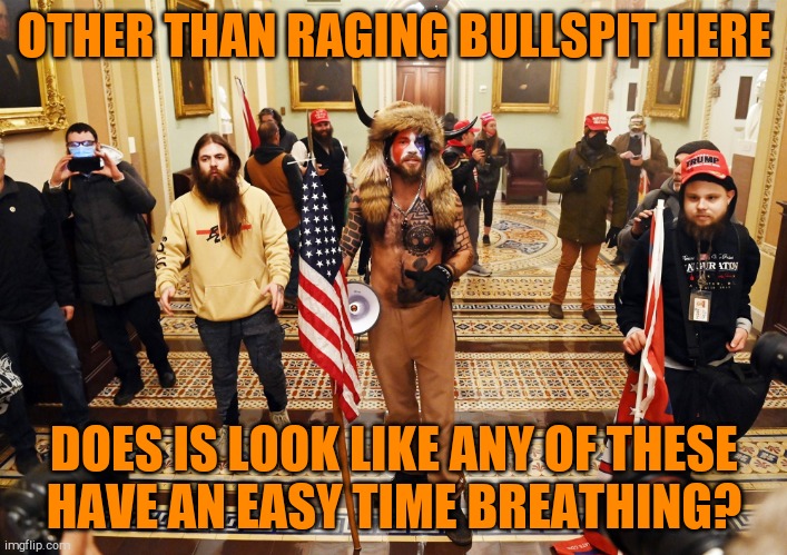 DC Capital Hill Riot | OTHER THAN RAGING BULLSPIT HERE DOES IS LOOK LIKE ANY OF THESE    HAVE AN EASY TIME BREATHING? | made w/ Imgflip meme maker