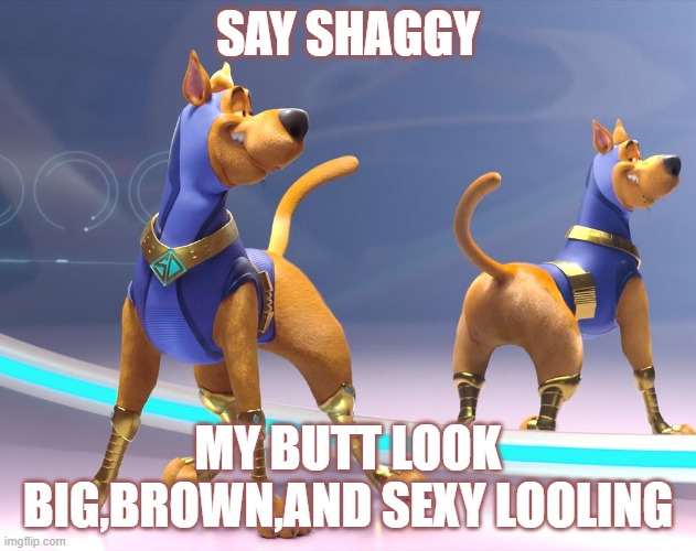 SAY SHAGGY; MY BUTT LOOK BIG,BROWN,AND SEXY LOOLING | image tagged in scooby doo,butt | made w/ Imgflip meme maker