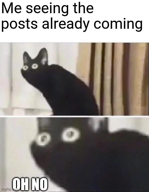 Oh No Black Cat | Me seeing the posts already coming; OH NO | image tagged in oh no black cat | made w/ Imgflip meme maker